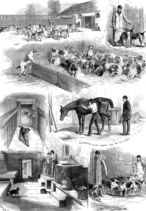Framed Print : The Royal Buckhounds: sketches of the kennels at Ascot, 1880. Creator: Unknown Framed Print : The Royal Buckhounds: sketches of the kennels at Ascot, 1880. Creator: Unknown