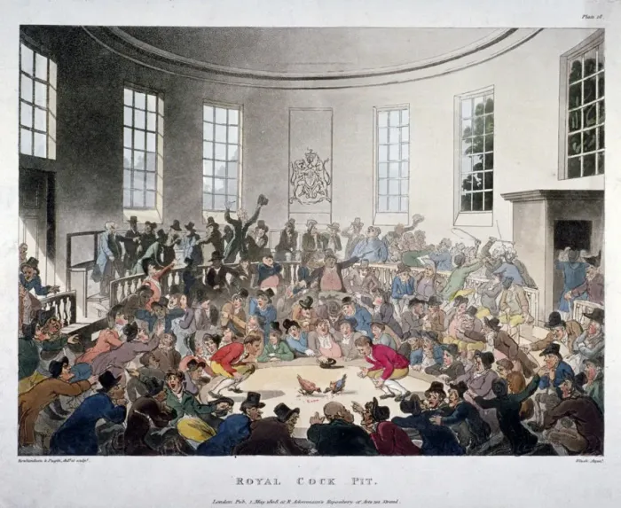 Framed Print : Royal Cock Pit, 1808. Artist: J Bluck Framed Print : Royal Cock Pit, 1808. Artist: J Bluck