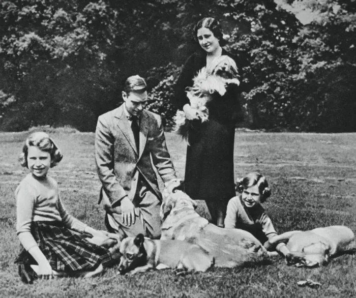 Framed Print : Royal family as a happy group of dog lovers, 1937. Artist: Michael Chance Framed Print : Royal family as a happy group of dog lovers, 1937. Artist: Michael Chance