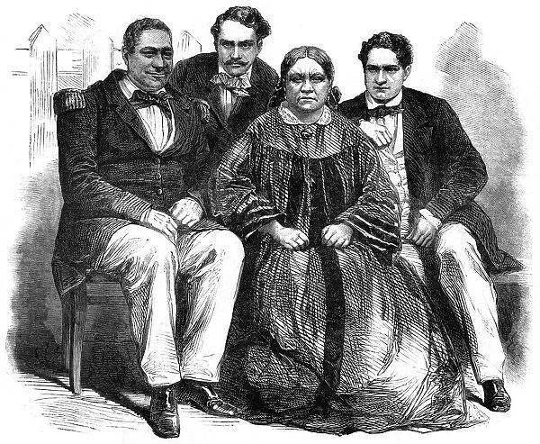 The Royal Family of Tahiti, 1864