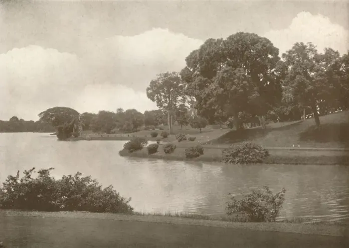 Framed Print : Royal Lakes, Rangoon, 1900. Creator: Unknown Framed Print : Royal Lakes, Rangoon, 1900. Creator: Unknown