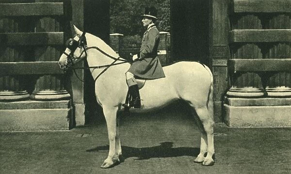 Royal Outrider in Scarlet Livery, 1950s. Creator: Unknown