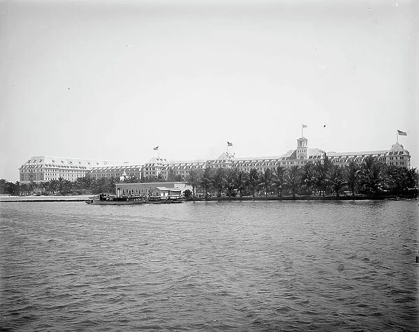 Royal Poinciana from wharf, Palm Beach, Fla. 1902. Creator: Unknown