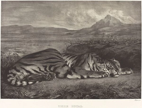 Royal Tiger (Tigre Royal), 1829. Creator: Eugene Delacroix