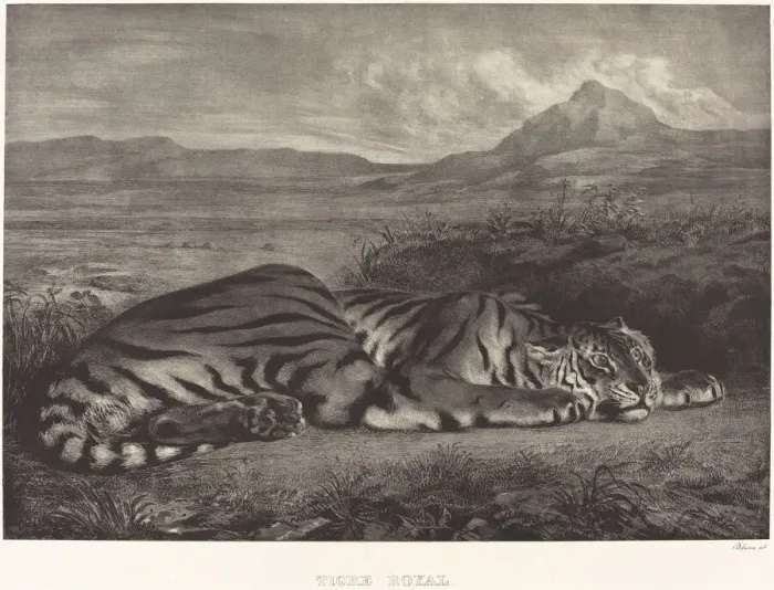 Framed Print : Royal Tiger (Tigre Royal), 1829. Creator: Eugene Delacroix Framed Print : Royal Tiger (Tigre Royal), 1829. Creator: Eugene Delacroix