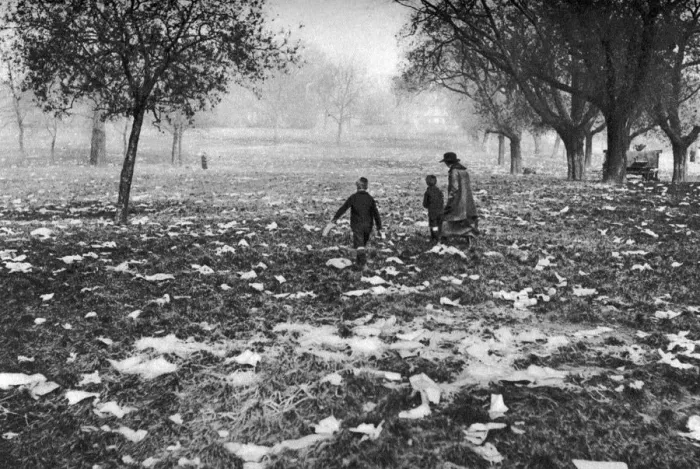 Framed Print : The rubbish left on Hamstead Heath after a bank holiday, London, 1926-1927 Framed Print : The rubbish left on Hamstead Heath after a bank holiday, London, 1926-1927