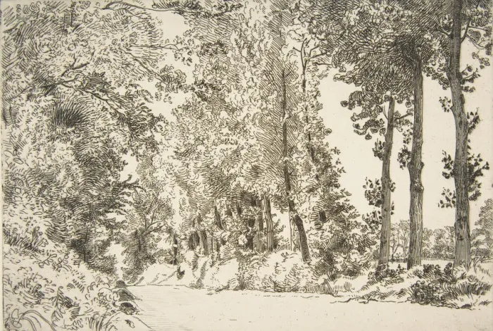 Framed Print : Rue des Bruyeres, aSevres, 1868. Creator: Felix Bracquemond Framed Print : Rue des Bruyeres, aSevres, 1868. Creator: Felix Bracquemond