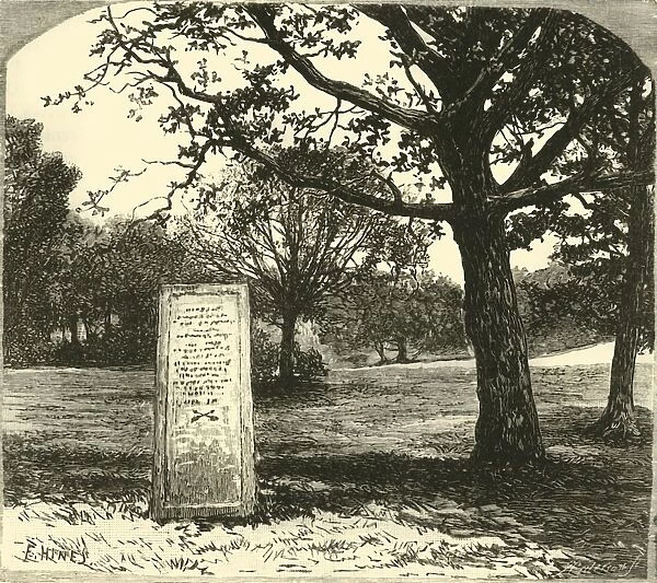 The Rufus Stone in the New Forest, 1890. Creator: Unknown