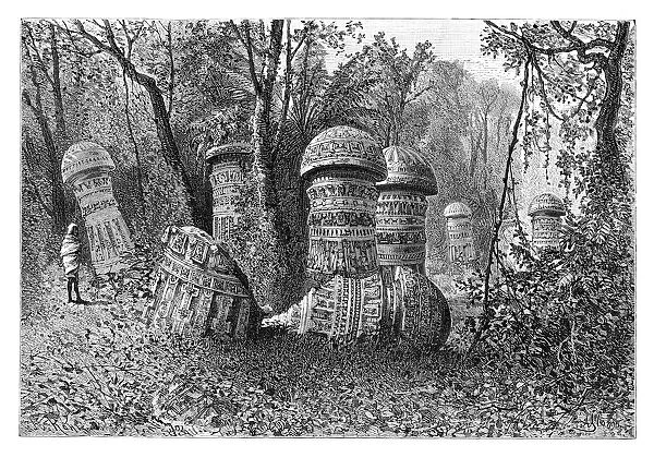 Ruins of an Ahom temple, Dinajpur, Upper Assam, India, 1895. Artist: Armand Kohl
