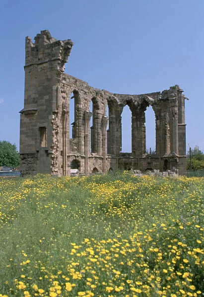 Ruins of the Church of St George of the Latins, Famagusta, North Cyprus, 2001
