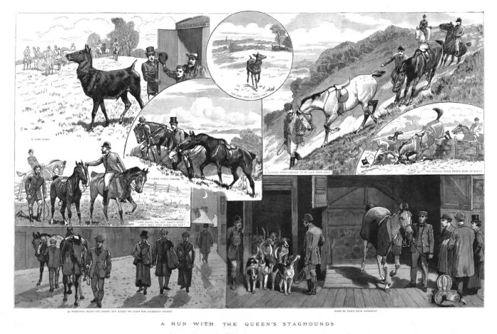 Framed Print : A run with the Queens Staghounds, 1890. Creator: Unknown Framed Print : A run with the Queens Staghounds, 1890. Creator: Unknown