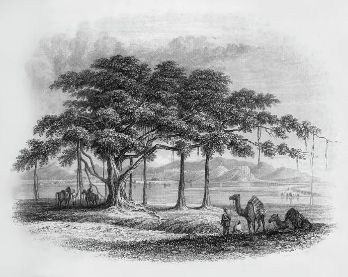 Framed Print : Runjeet Singh's Encampment at Roopur, 1845. Creator: Unknown Framed Print : Runjeet Singh's Encampment at Roopur, 1845. Creator: Unknown