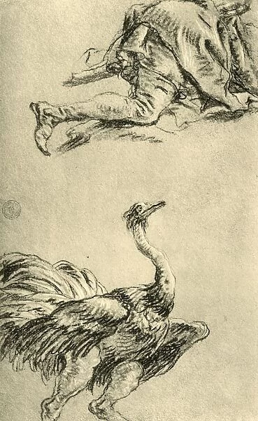 A running Ostrich, 1752-1753, (1928). Artist: Giovanni Battista Tiepolo