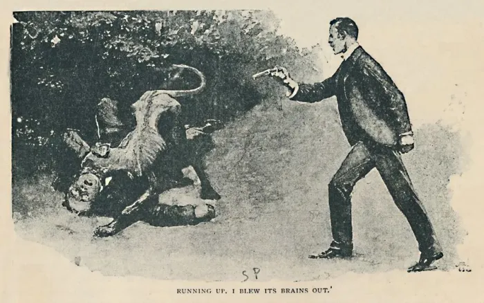 Framed Print : Running Up. I Blew Its Brains Out, 1892. Artist: Sidney E Paget Framed Print : Running Up. I Blew Its Brains Out, 1892. Artist: Sidney E Paget