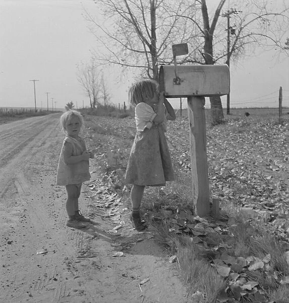 Rural children at R. F. D. box, near Fruitland, Idaho, 1939. Creator: Dorothea Lange