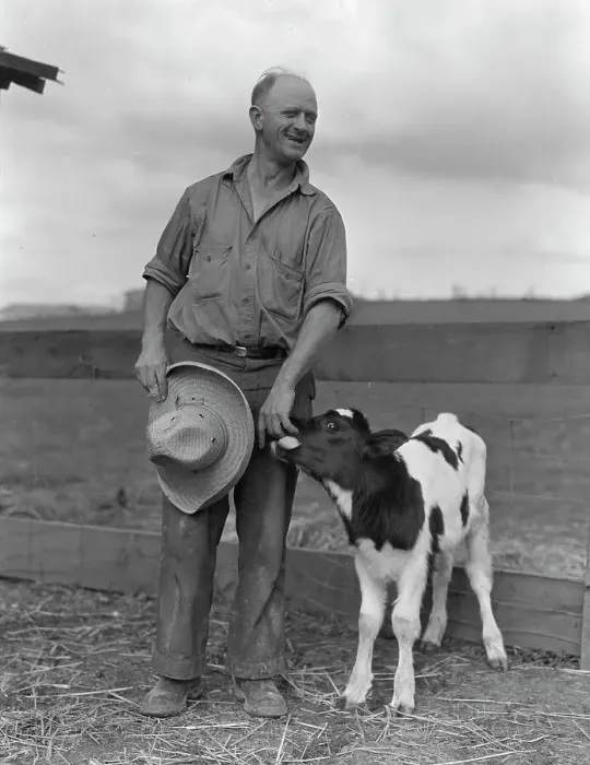 Framed Print : Rural Rehabilitation Administration client, Hayward, California, 1936. Creator: Dorothea Lange Framed Print : Rural Rehabilitation Administration client, Hayward, California, 1936. Creator: Dorothea Lange