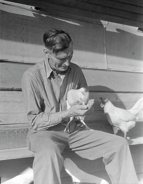 Rural rehabilitation client, San Fernando Valley, California, 1936. Creator: Dorothea Lange