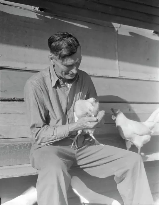 Framed Print : Rural rehabilitation client, San Fernando Valley, California, 1936. Creator: Dorothea Lange Framed Print : Rural rehabilitation client, San Fernando Valley, California, 1936. Creator: Dorothea Lange