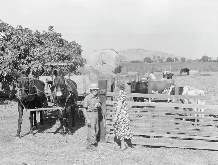 Framed Print : Rural rehabilitation, Tulare County, California, 1938. Creator: Dorothea Lange Framed Print : Rural rehabilitation, Tulare County, California, 1938. Creator: Dorothea Lange