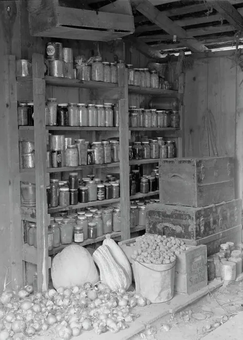 Framed Print : Rural rehabilitation, Tulare County, California, 1938. Creator: Dorothea Lange Framed Print : Rural rehabilitation, Tulare County, California, 1938. Creator: Dorothea Lange