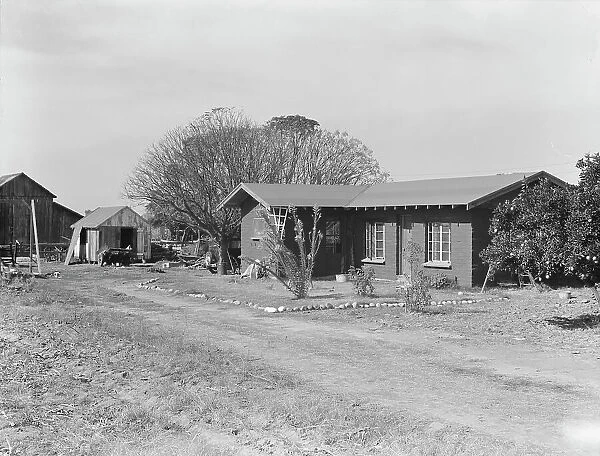 Rural rehabilitation, Tulare County, California, 1938. Creator: Dorothea Lange