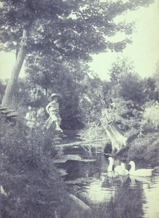 Framed Print : Rural scene with a young boy sitting on a tree stump watching ducks in the stream below, c1900. Creator: Emma Justine Farnsworth Framed Print : Rural scene with a young boy sitting on a tree stump watching ducks in the stream below, c1900. Creator: Emma Justine Farnsworth