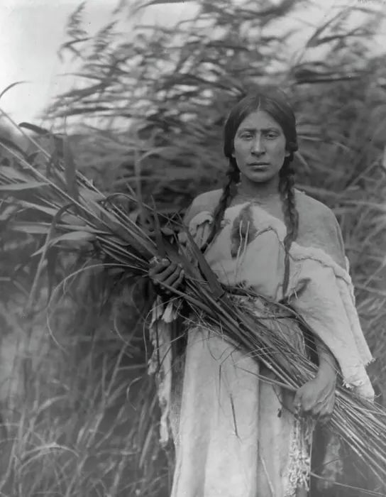Framed Print : The rush gatherer, c1908. Creator: Edward Sheriff Curtis Framed Print : The rush gatherer, c1908. Creator: Edward Sheriff Curtis