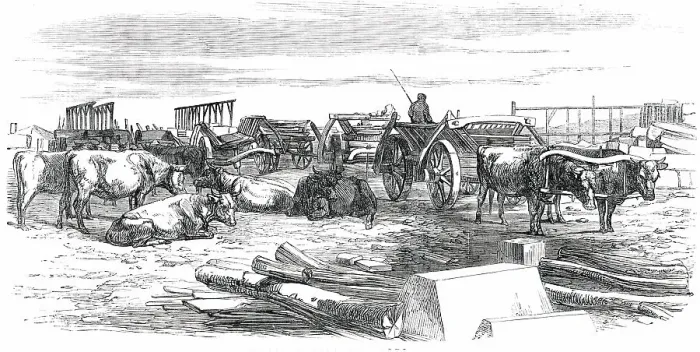 Framed Print : Russian Bullock Carts, 1850. Creator: Unknown Framed Print : Russian Bullock Carts, 1850. Creator: Unknown