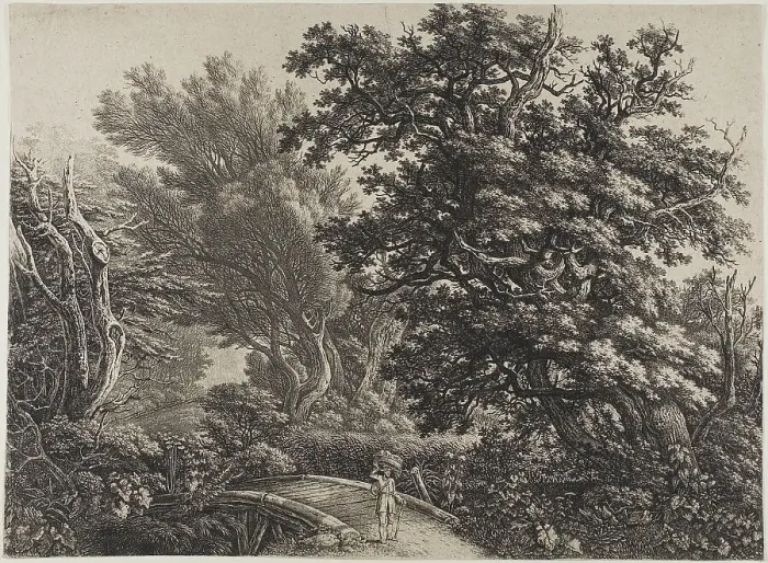 Framed Print : Rustic Bridge in a Tangled Wood, n.d. Creator: Carl Wilhelm Kolbe the elder Framed Print : Rustic Bridge in a Tangled Wood, n.d. Creator: Carl Wilhelm Kolbe the elder