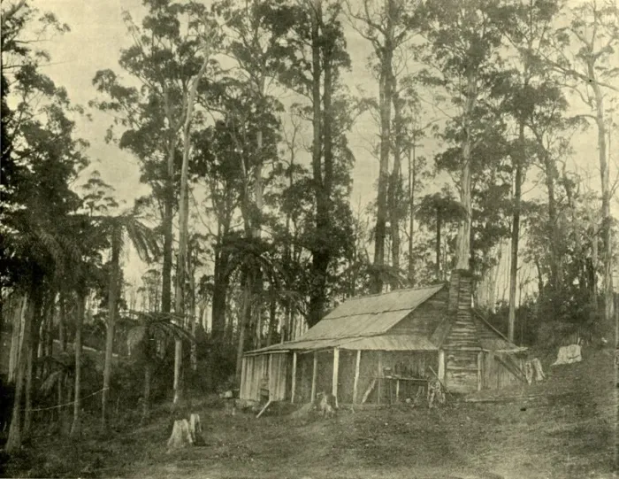 Framed Print : A Rustic Dwelling, 1901. Creator: Unknown Framed Print : A Rustic Dwelling, 1901. Creator: Unknown