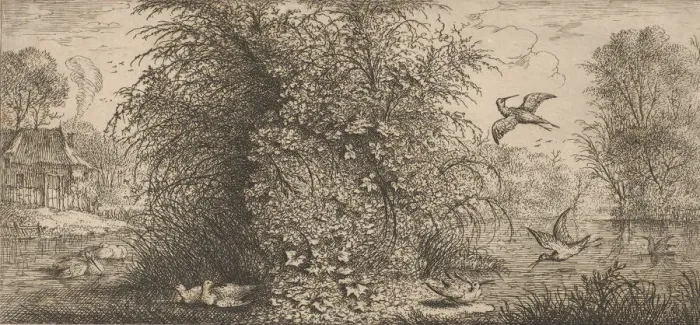 Framed Print : Rusticula minor, Beccassine (The Snipe): Livre d Oyseaux (Book of Birds), 1655-1660 Framed Print : Rusticula minor, Beccassine (The Snipe): Livre d Oyseaux (Book of Birds), 1655-1660