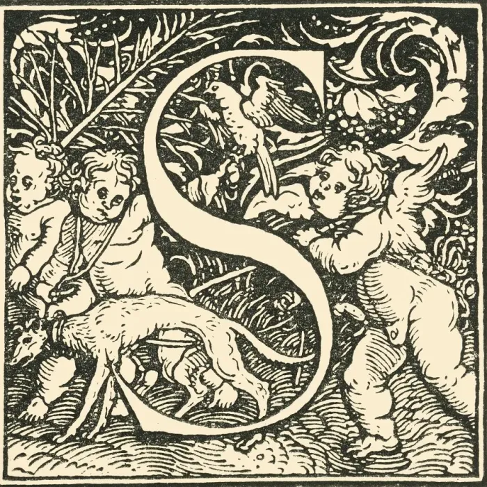 Framed Print : S - An Alphabet by Hans Weiditz, c1520-1521, (1908). Creator: Hans Weiditz Framed Print : S - An Alphabet by Hans Weiditz, c1520-1521, (1908). Creator: Hans Weiditz