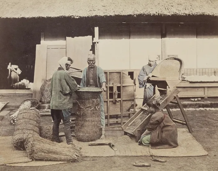 Framed Print : Sacking Grain, c1885. Creator: Unknown Framed Print : Sacking Grain, c1885. Creator: Unknown
