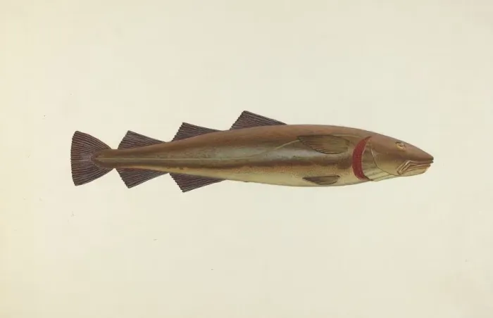 Framed Print : Sacred Cod, 1940. Creator: John W Kelleher Framed Print : Sacred Cod, 1940. Creator: John W Kelleher