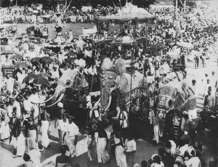 Framed Print : Sacred Elephant in the Perahera Procession, Kandy, Ceylon, c1890, (1910). Artist: Alfred William Amandus Plate