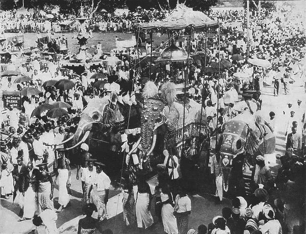 Sacred Elephant in the Perahera Procession, Kandy, Ceylon, c1890, (1910). Artist: Alfred William Amandus Plate