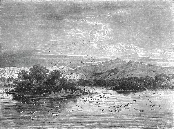 The sacred Isles of Lake Jonanga; The Gaboon. 1875. Creator: Unknown