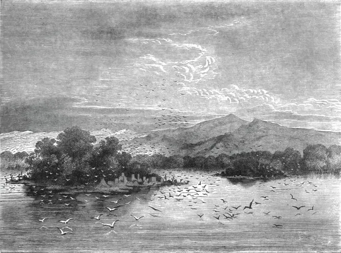 Framed Print : The sacred Isles of Lake Jonanga; The Gaboon. 1875. Creator: Unknown