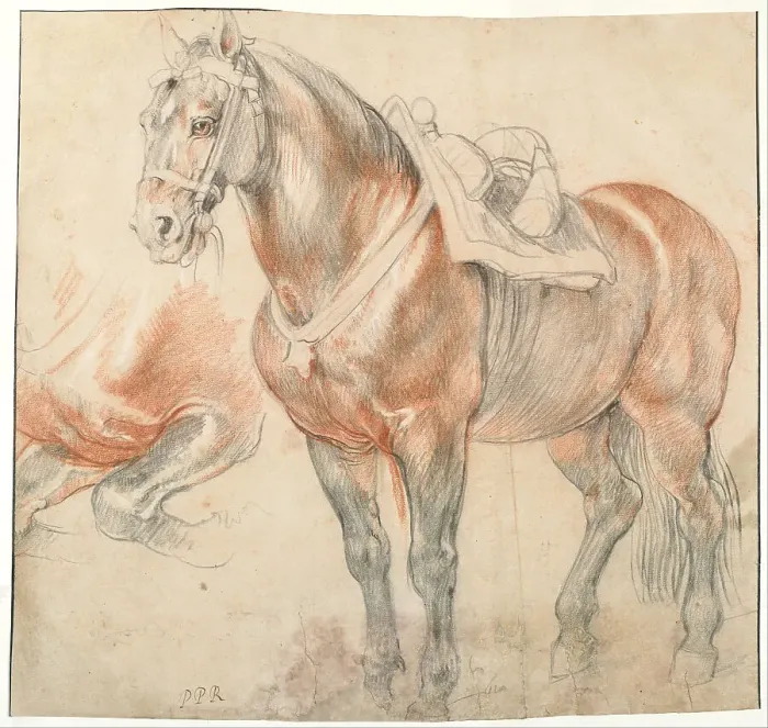 Framed Print : Saddled Horse, c. 1616-1618. Artist: Rubens, Pieter Paul (1577-1640) Framed Print : Saddled Horse, c. 1616-1618. Artist: Rubens, Pieter Paul (1577-1640)