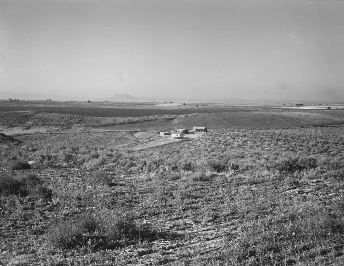 Framed Print : Sage bush, hay field, farmstead, cattle in pasture, Nyssa Heights, Malheur County, Oregon, 1939. Creator: Dorothea Lange Framed Print : Sage bush, hay field, farmstead, cattle in pasture, Nyssa Heights, Malheur County, Oregon, 1939. Creator: Dorothea Lange