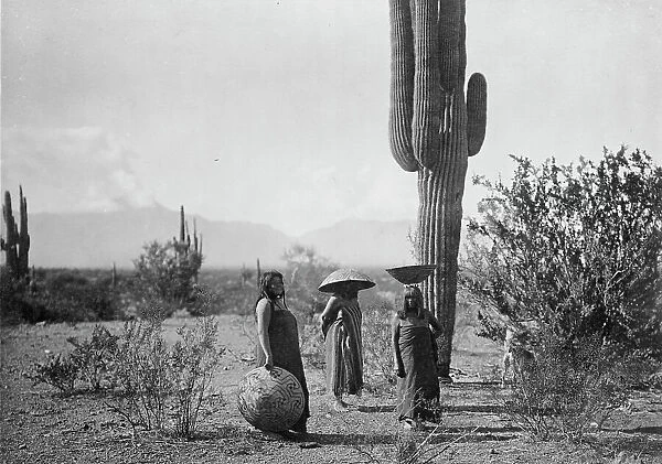 Saguaro fruit gatherers-Maricopa, c1907. Creator: Edward Sheriff Curtis