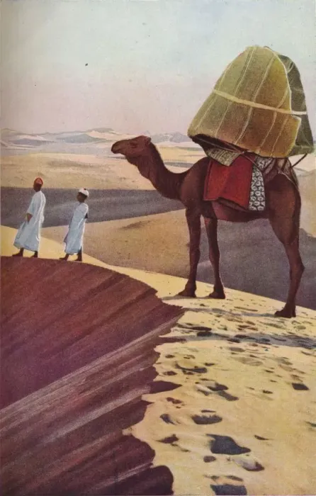 Framed Print : Sahara, c1930s