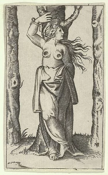 Saint Agatha tied to a tree, her breasts have been cut off, from the series Picc... ca. 1500-1540. Creator: Anon
