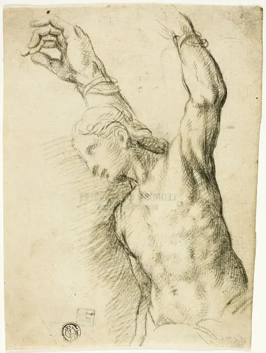 Framed Print : Saint Sebastian, 1580s. Creators: Vincenzo Campi, St Sebastian Framed Print : Saint Sebastian, 1580s. Creators: Vincenzo Campi, St Sebastian