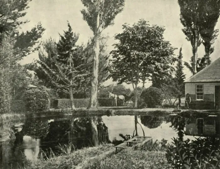 Framed Print : The Salmon Ponds, New Norfolk, 1901. Creator: Unknown Framed Print : The Salmon Ponds, New Norfolk, 1901. Creator: Unknown