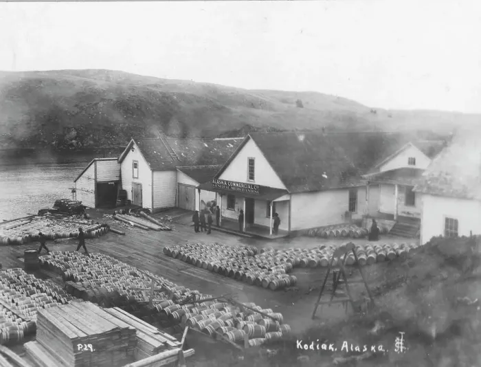 Framed Print : Salmon works, between c1900 and c1930. Creator: Unknown Framed Print : Salmon works, between c1900 and c1930. Creator: Unknown