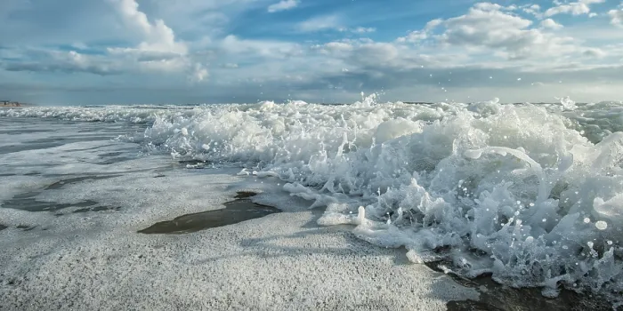 Framed Print : Salt Bath. Creator: Eve Turek Framed Print : Salt Bath. Creator: Eve Turek