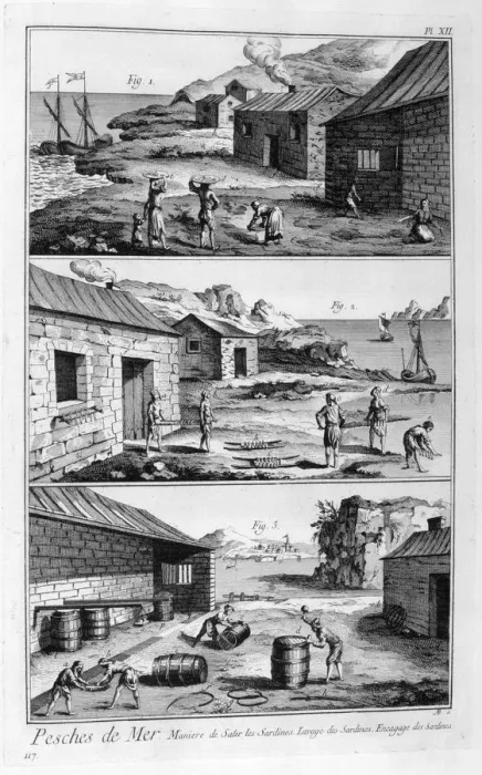 Framed Print : Salting, washing, packing sardines, 1751-1777 Framed Print : Salting, washing, packing sardines, 1751-1777