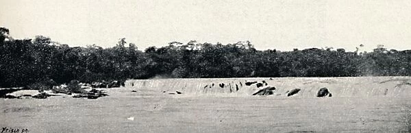 Salto Grande (Rio Paranapanema), 1895. Artist: Francisco Henszler