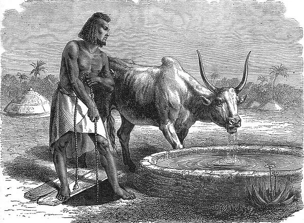 Samhar peasant at a well; A journey through Soudan and Western Abyssinia... 1875. Creator: Unknown